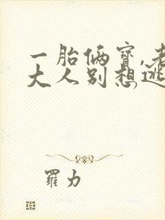 一胎俩宝,老婆大人别想逃