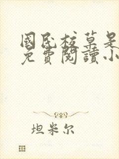 国民校草是女生免费阅读小说