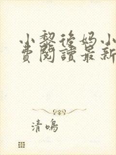 小黎后妈小说免费阅读最新章节更新