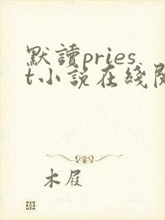 默读priest小说在线阅读全文免费
