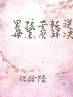 男孩子叛逆期父母怎么解决