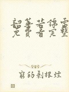 韶华若锦电视剧免费看完整版