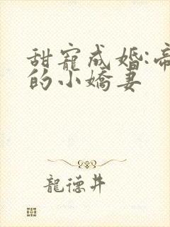 甜宠成婚:帝少的小娇妻