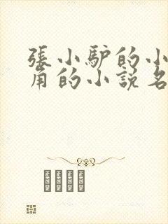 张小驴的小说主角的小说名字