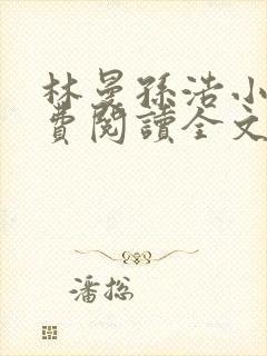 林曼孙浩小说免费阅读全文最新章节