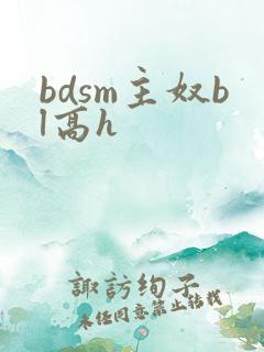 bdsm主奴bl高h