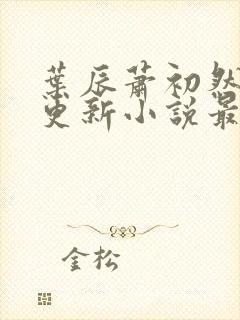 叶辰萧初然最快更新小说最新