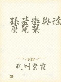 孙若微与徐斌什么关系