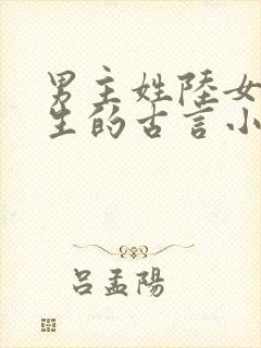 男主姓陆女主重生的古言小说