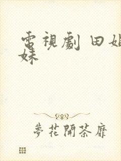 电视剧 田姐辣妹