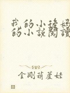 我的小后妈免费的小说阅读