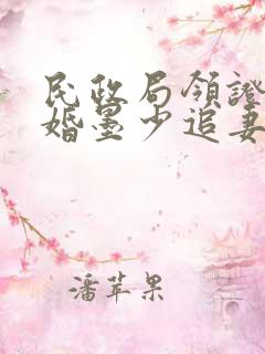 民政局领证,闪婚墨少追妻忙 云起莫离