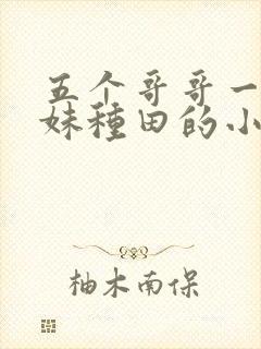 五个哥哥一个妹妹种田的小说
