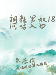 调教男奴18禁网站入口