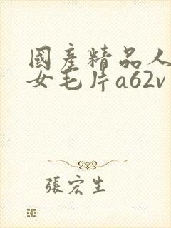 国产精品人妻熟女毛片a62v
