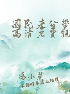 国民老公带回家高清免费观看