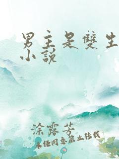 男主是双生子的小说