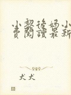 小黎后妈小说免费阅读最新章节更新