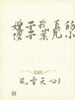 嫂子我真的不是傻子叶凡小说笔趣阁