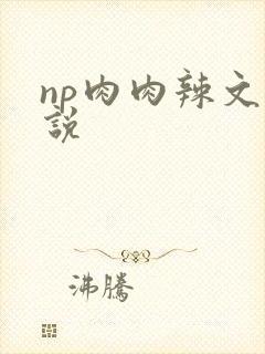 np肉肉辣文小说