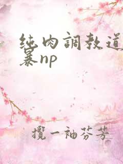 纯肉调教道具粗暴np