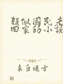 类似国民老公带回家的小说