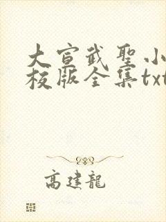 大宣武圣小说精校版全集txt