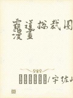 霸道总裁圈爱记漫画