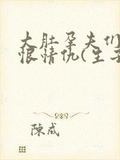 大肚孕夫们的爱恨情仇(生子)