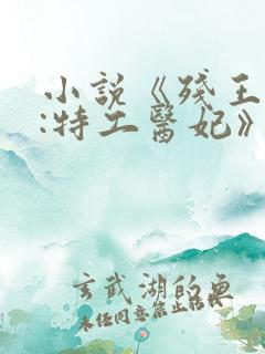 小说《残王御宠:特工医妃》