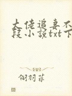 大佬追妻不择手段小说txt下载