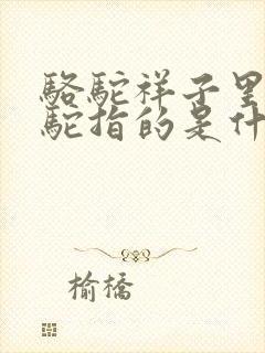 骆驼祥子里的骆驼指的是什么