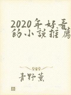 2020年好看的小说推荐