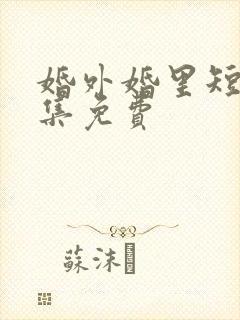 婚外婚里短剧全集免费