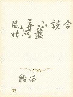 风弄小说合集txt网盘