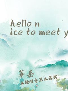 hello nice to meet you翻译