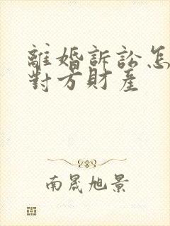 离婚诉讼怎么查对方财产