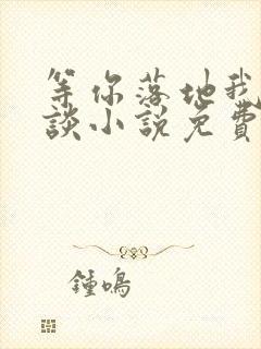 等你落地我们在谈小说免费阅读