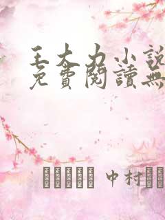 王大力小说小说免费阅读无弹窗