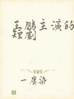 王鹏主演的所有短剧