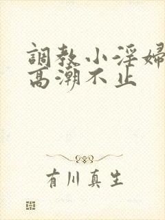 调教小淫妇失禁高潮不止