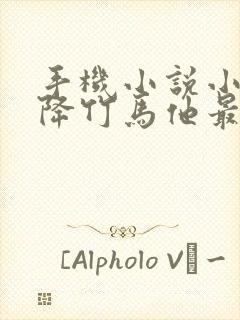 手机小说小说天降竹马他最撩啦