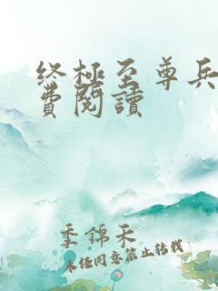 终极至尊兵王免费阅读