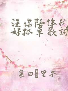 没你陪伴我真的好孤单歌词