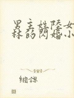 男主姓陆女主姓林的闪婚小说