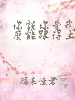 你说你爱我我怎么能跟得上你是什么歌