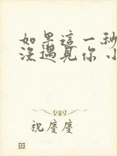 如果这一秒,我没遇见你 小说