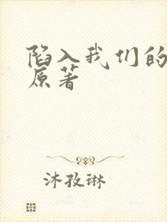 陷入我们的热恋原著