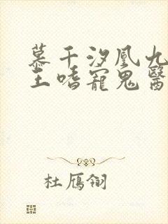 慕千汐凰九夜邪王嗜宠鬼医狂妃免费阅读