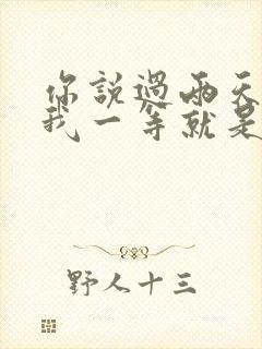 你说过两天来看我一等就是一年多是什么歌